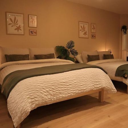 Modern Studio Apartment In Cashel Cashel  Ngoại thất bức ảnh