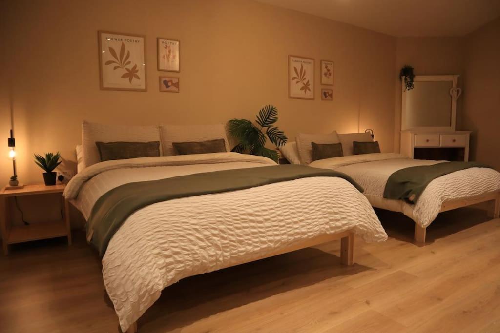 Modern Studio Apartment In Cashel Cashel  Ngoại thất bức ảnh