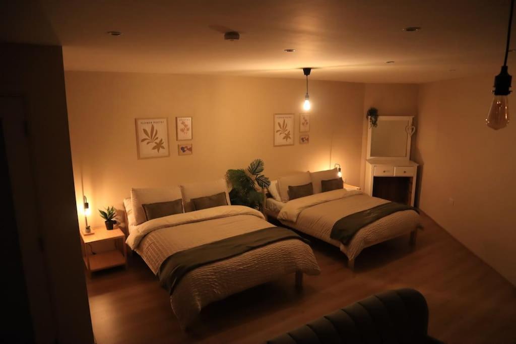 Modern Studio Apartment In Cashel Cashel  Ngoại thất bức ảnh